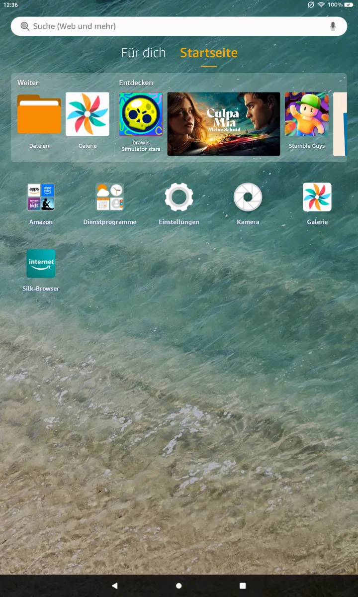 Inkognito-Modus im Silk-Browser aktivieren – Fire OS 8: Schritt 1 – Silk-Browser-App öffnen